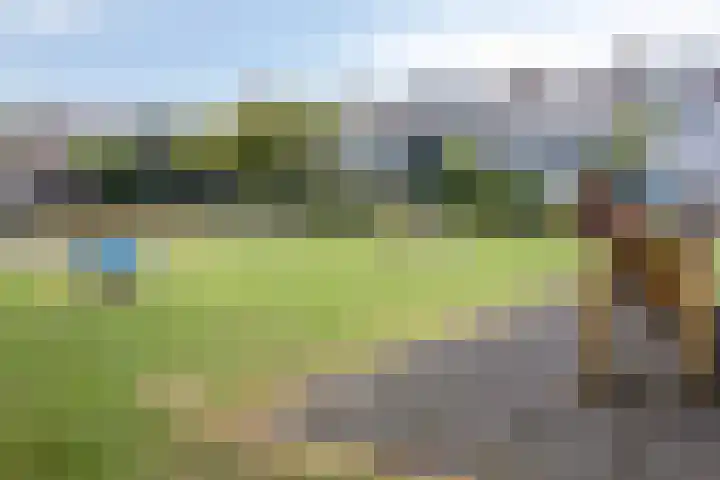 Terpsingel 11 Spijkenisse thumbnail 32