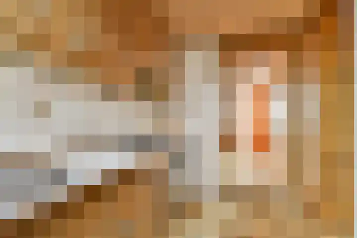 Terpsingel 5 Spijkenisse thumbnail 10