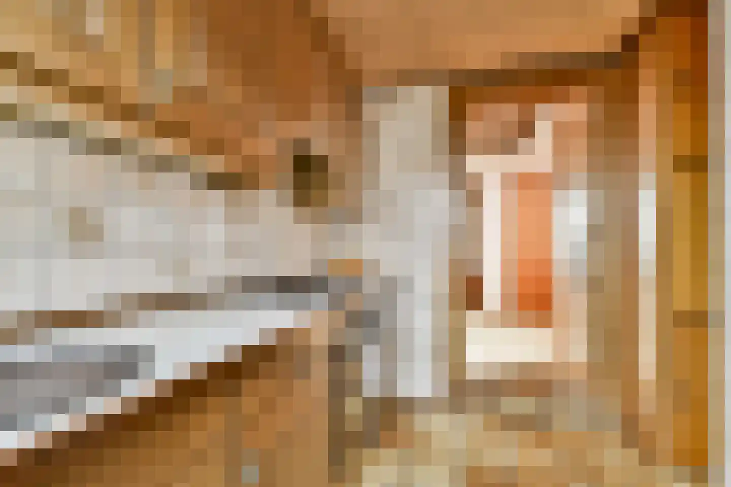 Terpsingel 5 Spijkenisse thumbnail 10