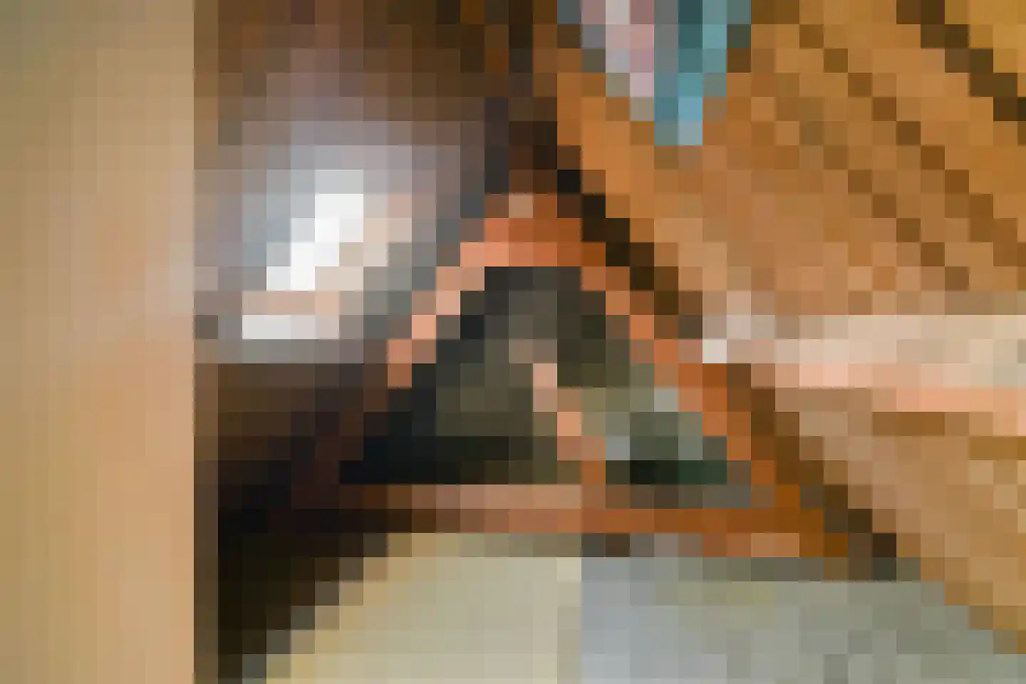 Terpsingel 5 Spijkenisse thumbnail 17