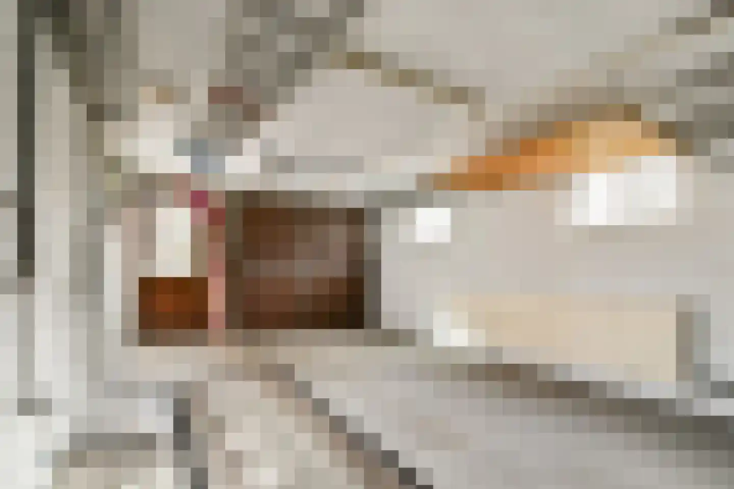 Terpsingel 5 Spijkenisse thumbnail 18