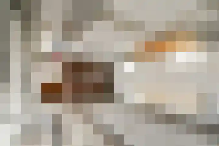Terpsingel 5 Spijkenisse thumbnail 18