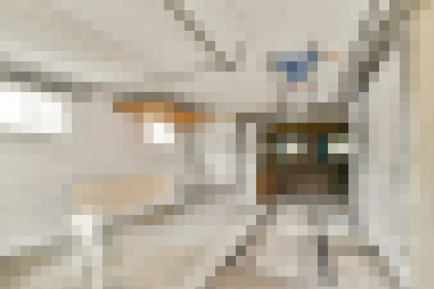 Terpsingel 5 Spijkenisse thumbnail 19