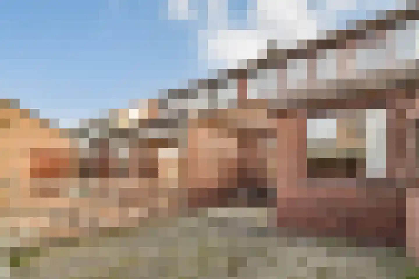 Terpsingel 5 Spijkenisse thumbnail 20