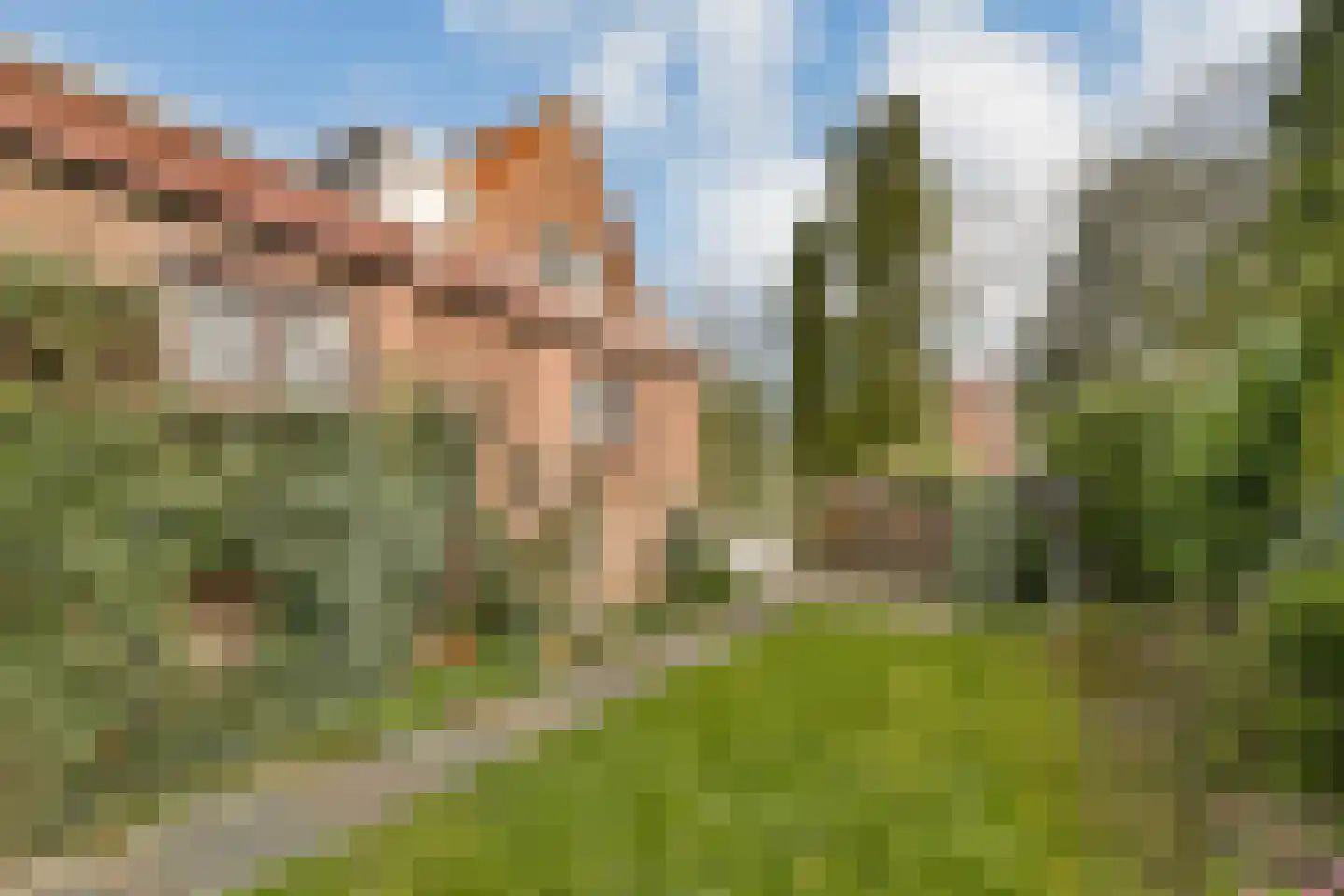 Terpsingel 5 Spijkenisse thumbnail 21