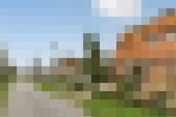 Terpsingel 5 Spijkenisse thumbnail 22