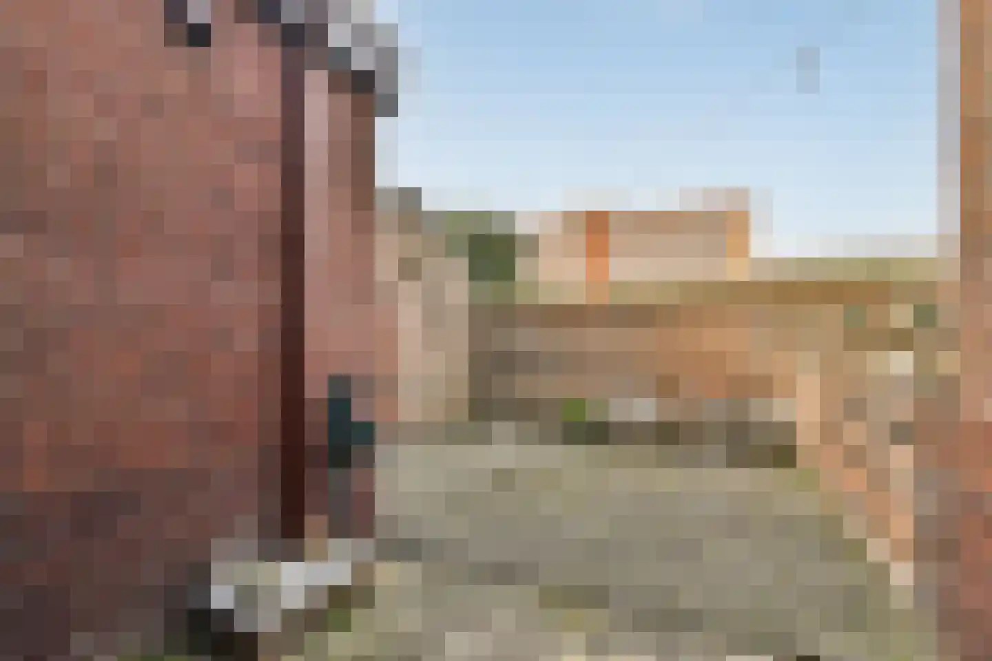 Terpsingel 5 Spijkenisse thumbnail 5