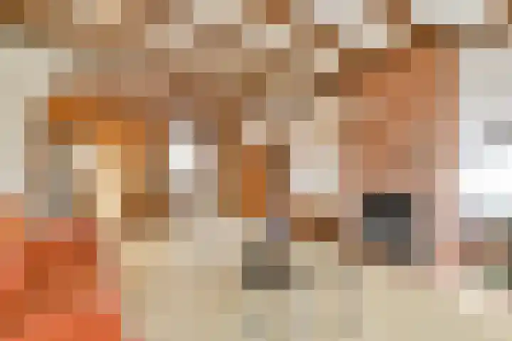 Terpsingel 5 Spijkenisse thumbnail 9