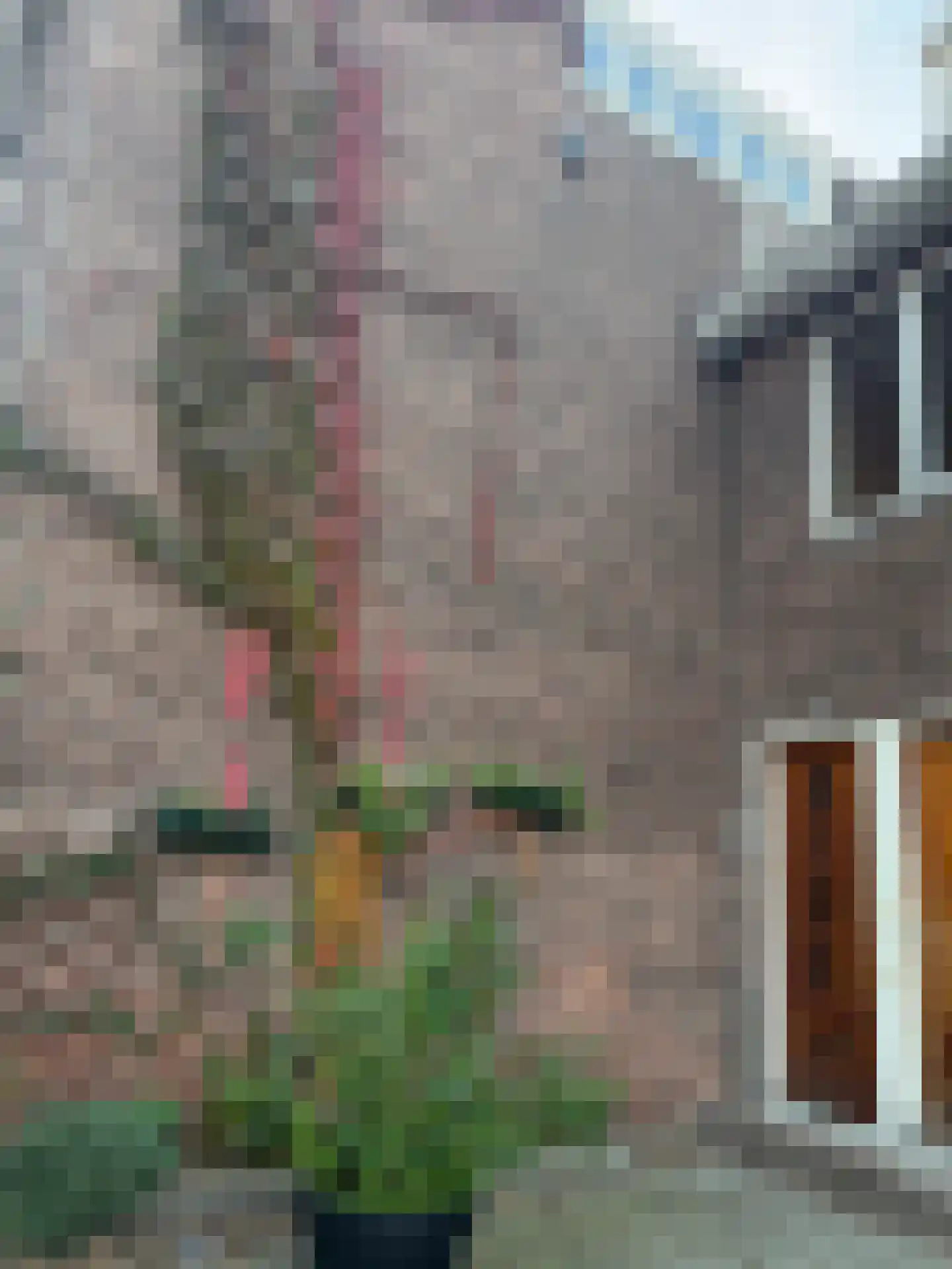 Terpstraat 13 Rotterdam thumbnail 5