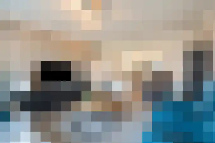 Terpstraat 28 Wieringerwerf thumbnail 10