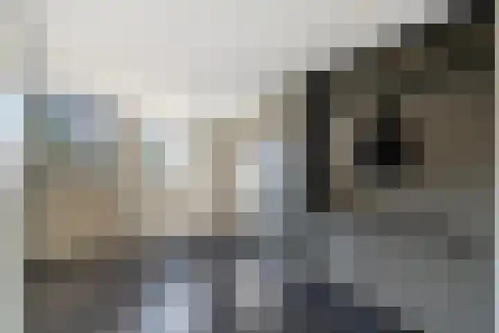 Terpstraat 28 Wieringerwerf thumbnail 20