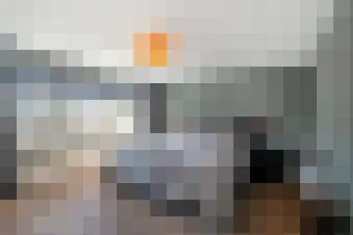 Terpstraat 28 Wieringerwerf thumbnail 21