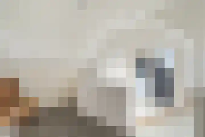 Terpstraat 28 Wieringerwerf thumbnail 30