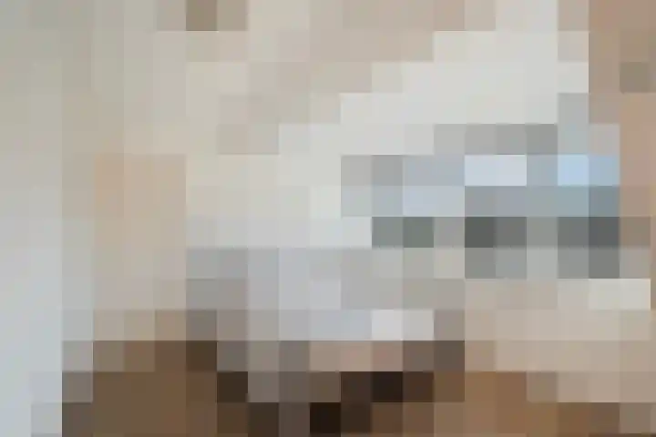 Terpstraat 28 Wieringerwerf thumbnail 32