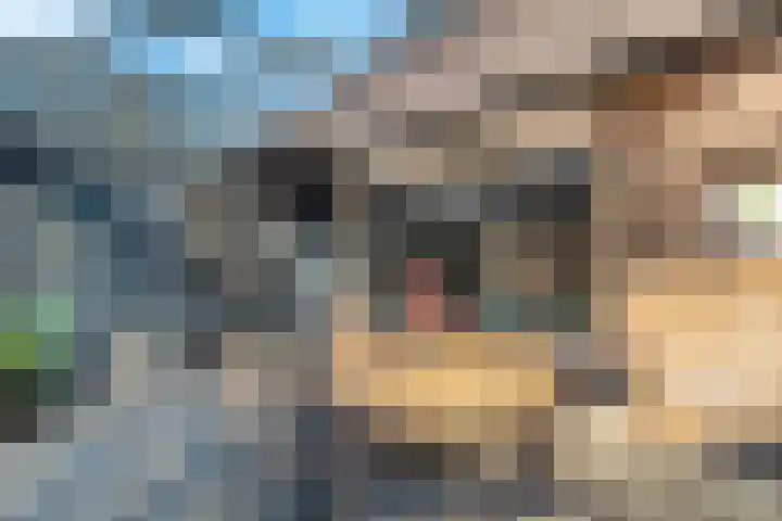 Terpstraat 28 Wieringerwerf thumbnail 36