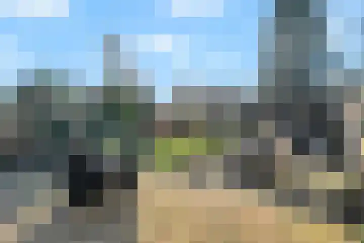 Terpstraat 28 Wieringerwerf thumbnail 39