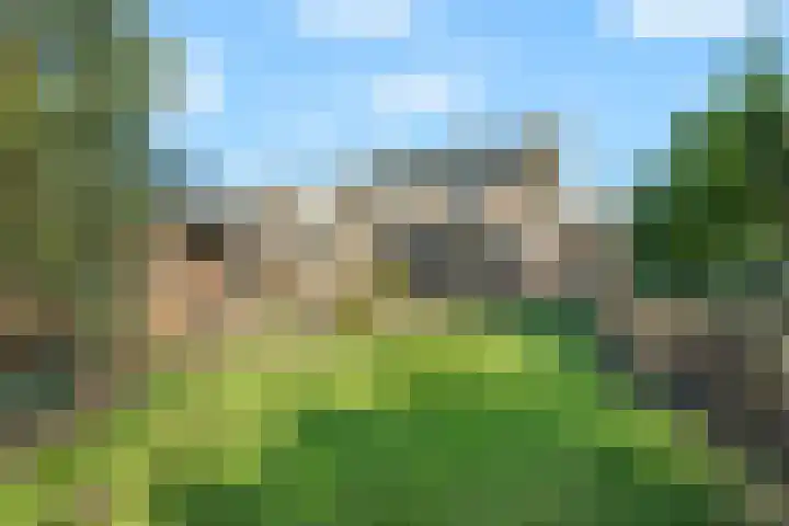 Terpstraat 28 Wieringerwerf thumbnail 4