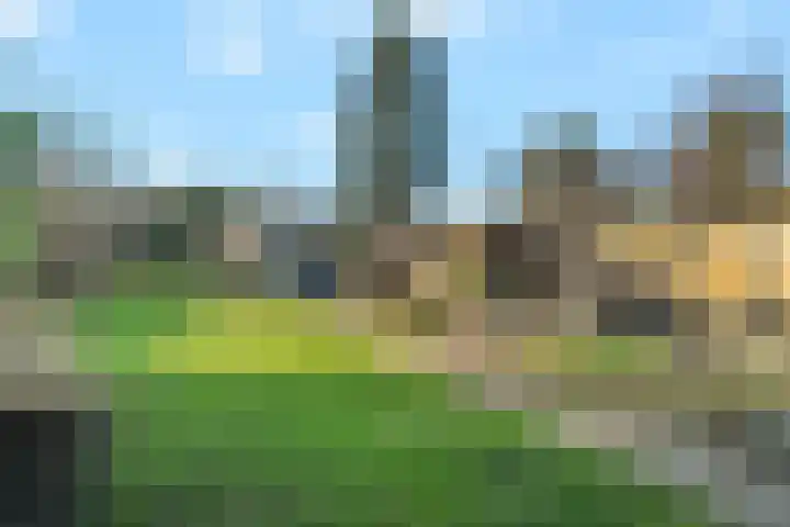 Terpstraat 28 Wieringerwerf thumbnail 40