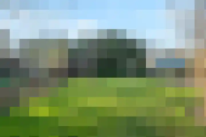 Terpstraat 28 Wieringerwerf thumbnail 41