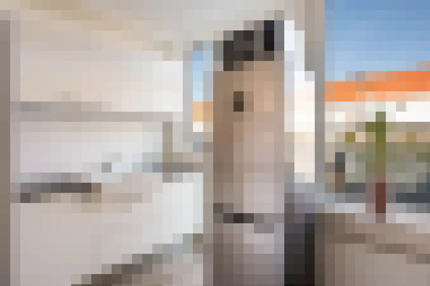 Terpstraat 39 Rotterdam thumbnail 16