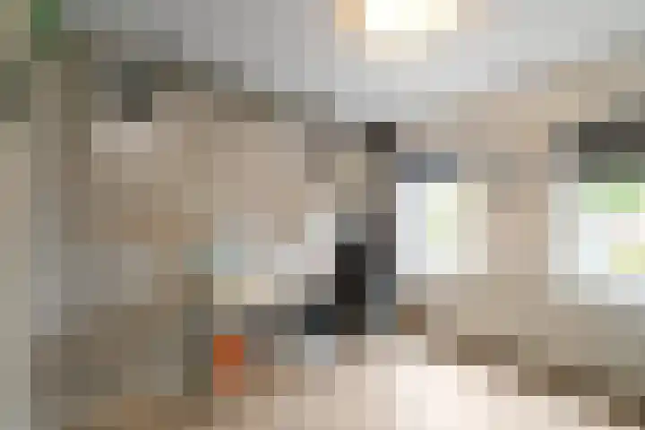 Terpstraat 41 Wieringerwerf thumbnail 24