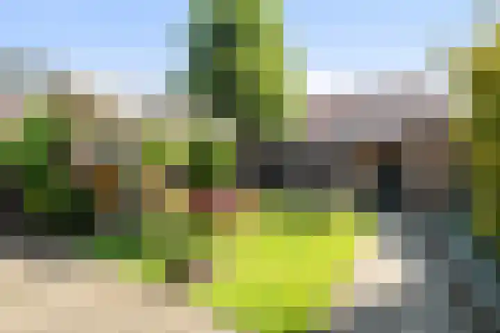 Terpstraat 41 Wieringerwerf thumbnail 5