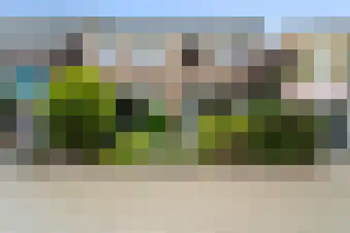 Terpstraat 41 Wieringerwerf thumbnail 6