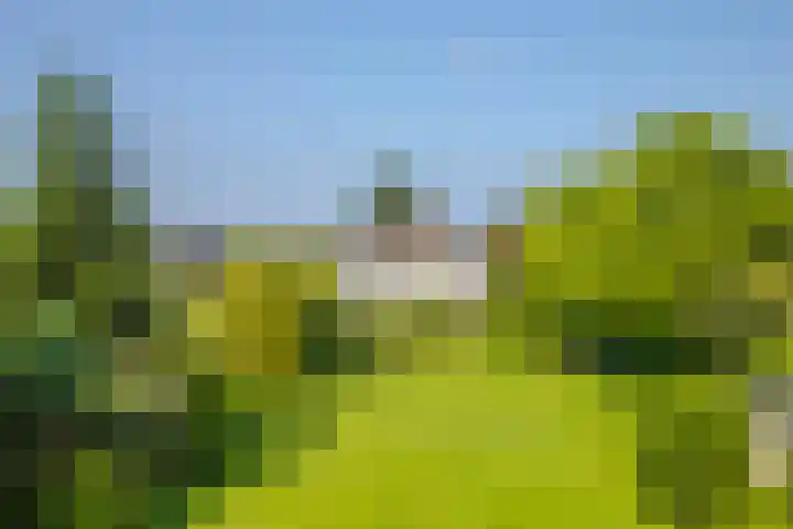 Terpstraat 6 Groessen thumbnail 39