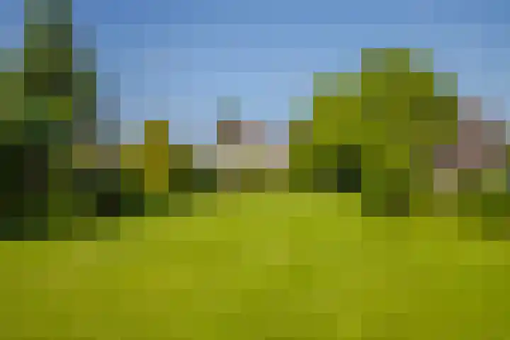 Terpstraat 6 Groessen thumbnail 41