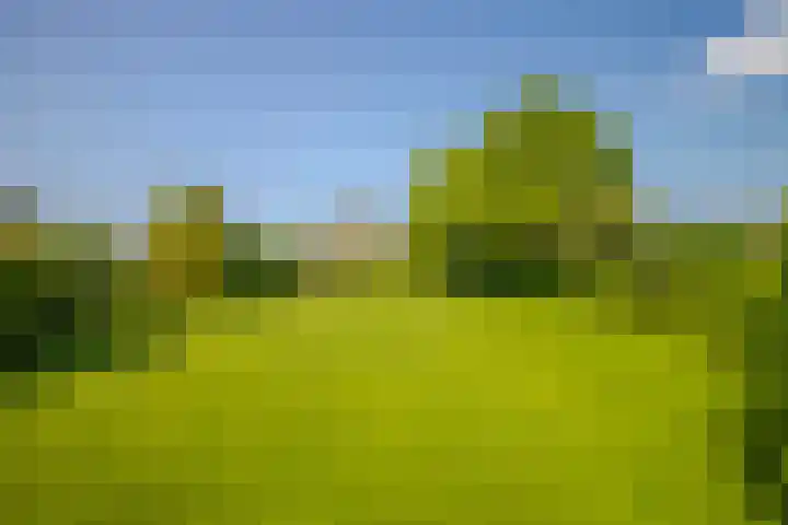 Terpstraat 6 Groessen thumbnail 42