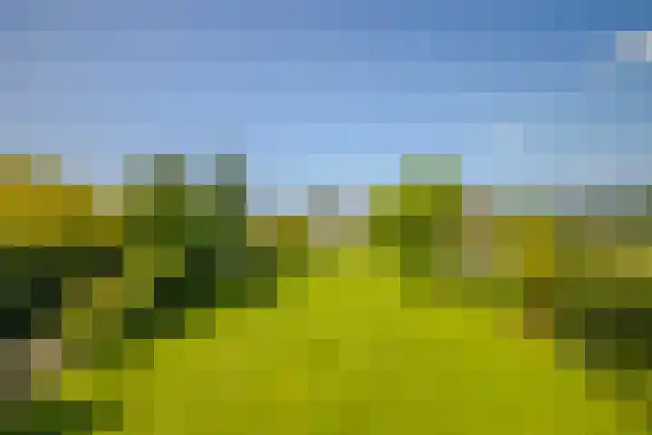 Terpstraat 6 Groessen thumbnail 44