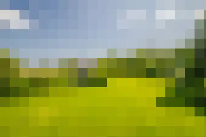 Terpstraat 6 Groessen thumbnail 45