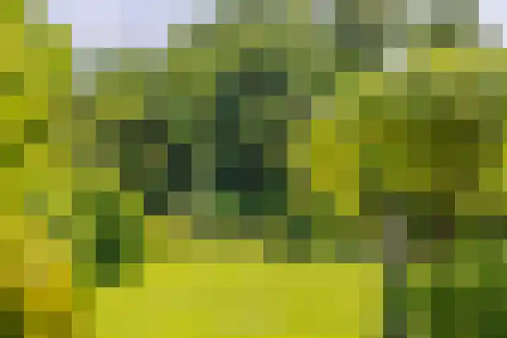 Terpstraat 6 Groessen thumbnail 47