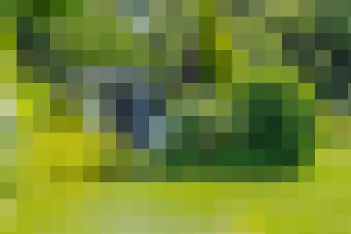 Terpstraat 6 Groessen thumbnail 49