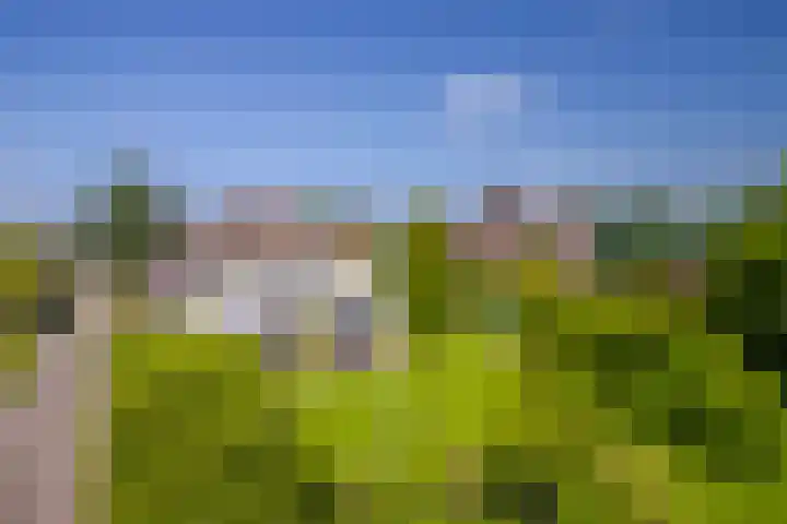 Terpstraat 6 Groessen thumbnail 6