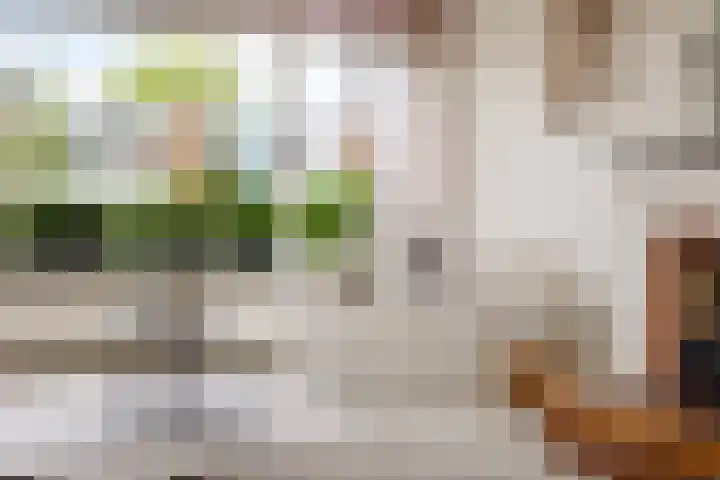Terpstraat 7 Nijmegen thumbnail 13