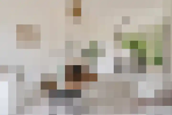 Terpstraat 7 Nijmegen thumbnail 14