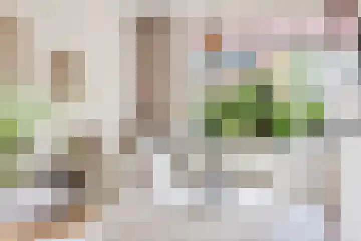 Terpstraat 7 Nijmegen thumbnail 15