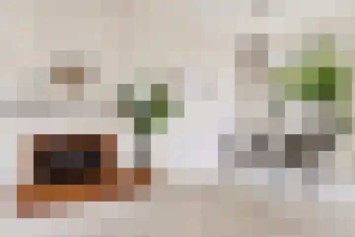 Terpstraat 7 Nijmegen thumbnail 18