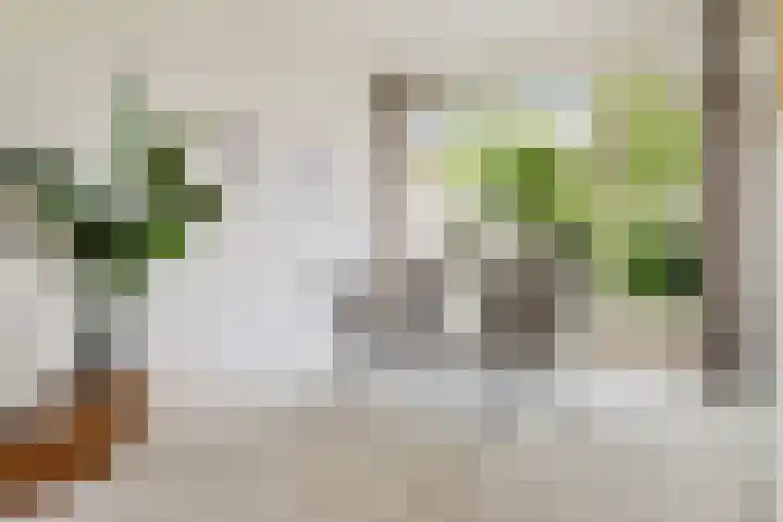 Terpstraat 7 Nijmegen thumbnail 19