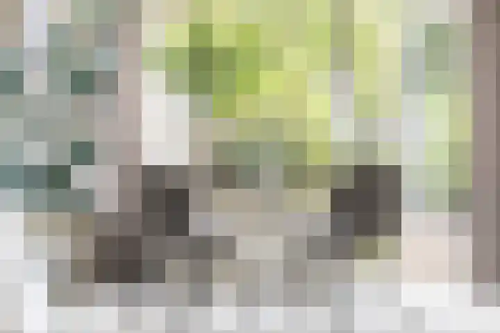 Terpstraat 7 Nijmegen thumbnail 20