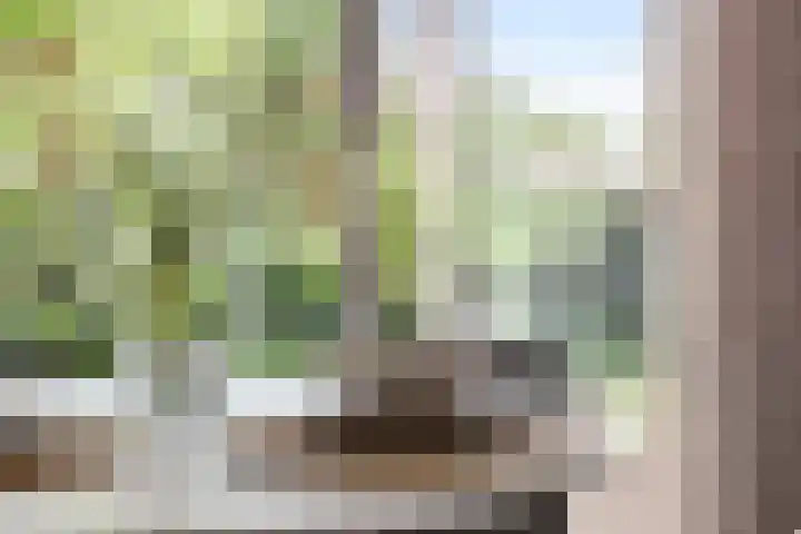 Terpstraat 7 Nijmegen thumbnail 22
