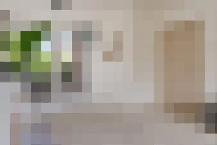 Terpstraat 7 Nijmegen thumbnail 23