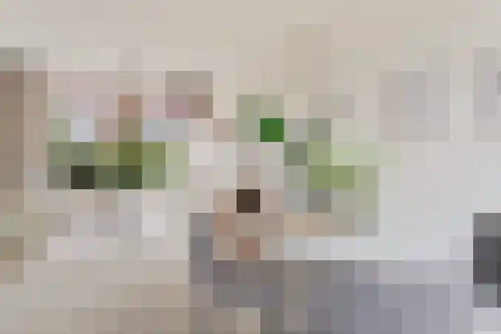 Terpstraat 7 Nijmegen thumbnail 25