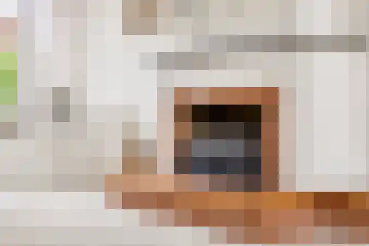 Terpstraat 7 Nijmegen thumbnail 27