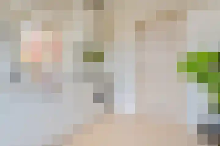 Terpstraat 7 Nijmegen thumbnail 30