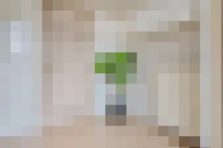 Terpstraat 7 Nijmegen thumbnail 31