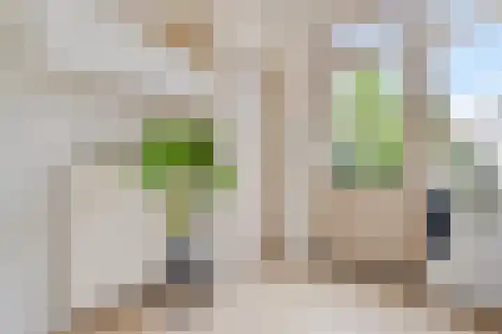 Terpstraat 7 Nijmegen thumbnail 32