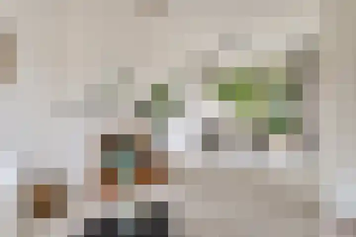Terpstraat 7 Nijmegen thumbnail 4