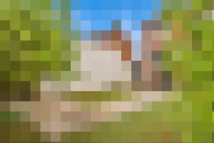 Terpstraat 7 Nijmegen thumbnail 46